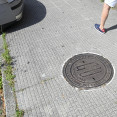 DSC4713 18564274
