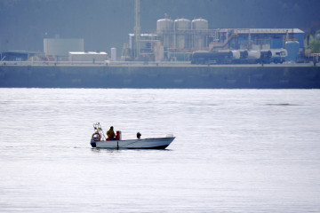 Marisqueo ferrol