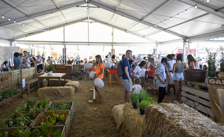 Dez firmas de artesanía chegarán a Equiocio para participar no EcoMarket