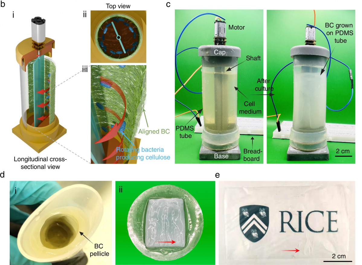 BIOMATERIAL