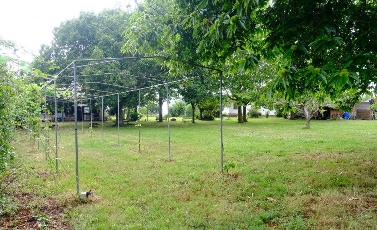 Luz verde ambiental para un nuevo campamento turístico en Ares