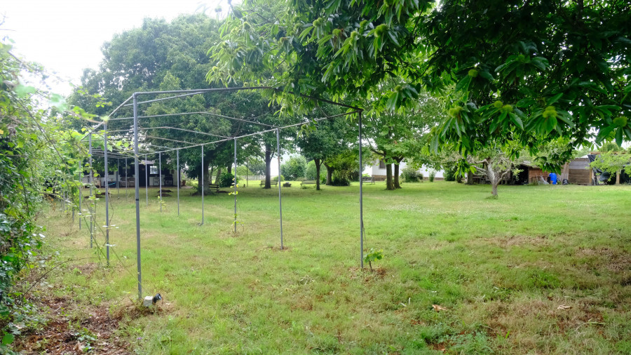 Luz verde ambiental para un nuevo campamento turístico en Ares