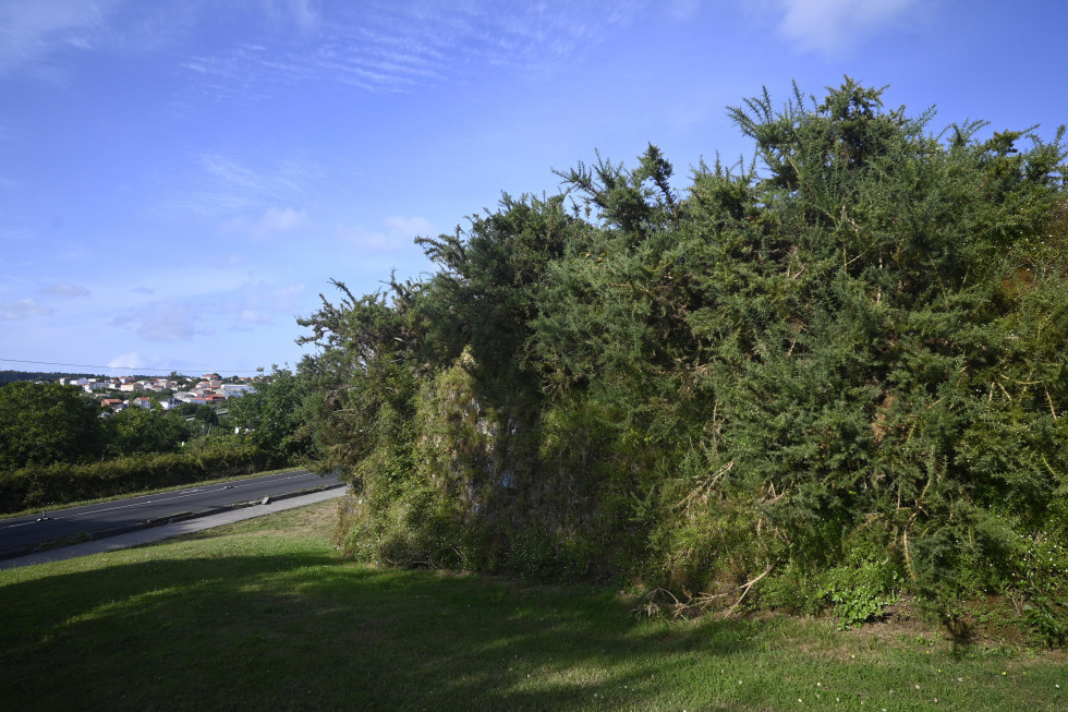 DSC6757 20520383