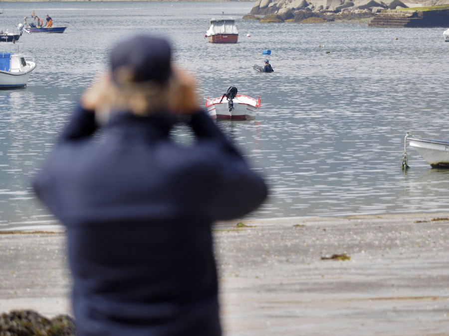 Los furtivos “campan a sus anchas” en la ría aprovechando las buenas mareas