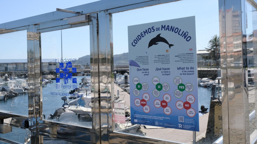 “Manoliño”, o adeus a un golfiño que revolucionou as augas da ría de Ferrol