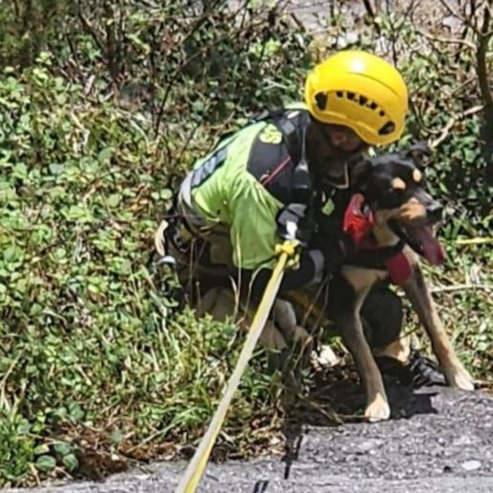 El heroico rescate de Rufo, el perro despeñado en As Pontes y salvado por tres bomberos