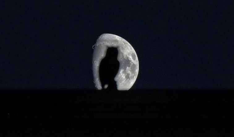El ojo público | Criaturas  de la noche