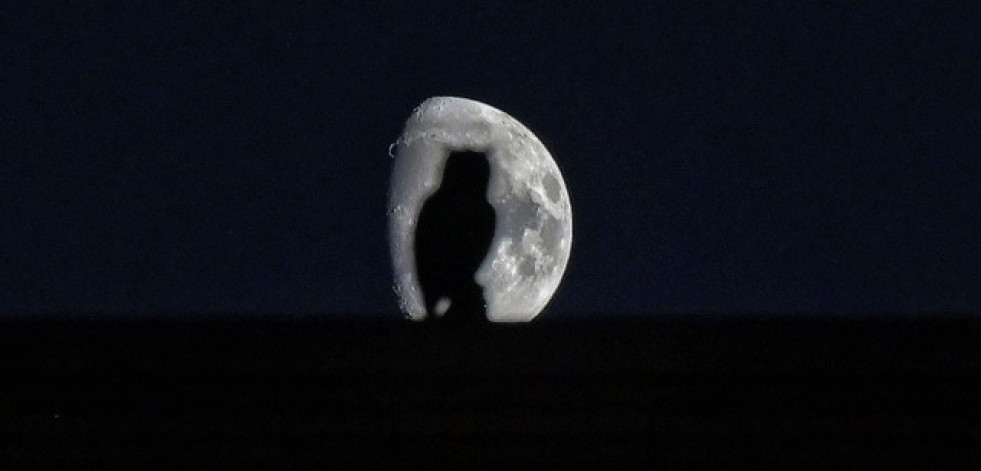 El ojo público | Criaturas  de la noche