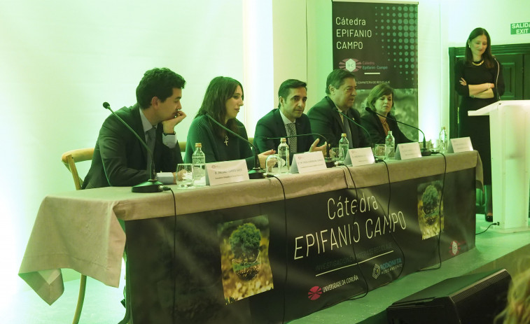 Os traballos que optan aos Premios de Investigación Epifanio Campo ábrense ao público