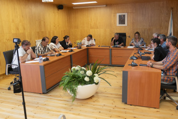 Pleno ordinario xullo