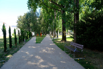 DSCF9100 18322576