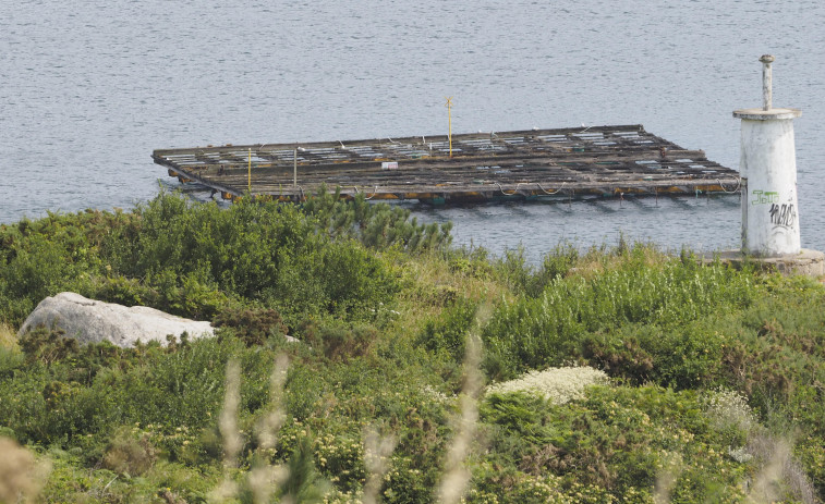 Mar destinará un millón de euros a ayudas por la parada biológica