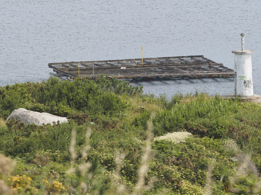 Mar destinará un millón de euros a ayudas por la parada biológica