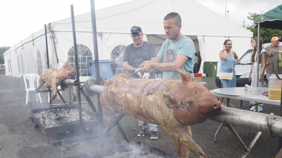 Dos cerdos "al espeto", de unos 90 kilos cada uno, en la Feira de exaltación do Porco de Pedroso, en Narón