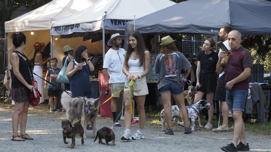 El Gulliver Fest contará por primera vez con pulseras recargables para pagar en las barras