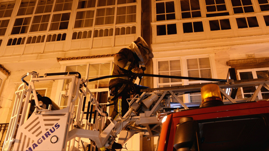 El verano multiplica las salidas de los Bomberos para combatir a la velutina en Ferrolterra