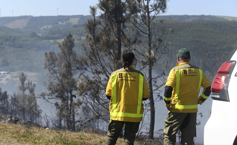Extinguido el incendio forestal que arrasó 23 hectáreas de monte en el área de As Pontes