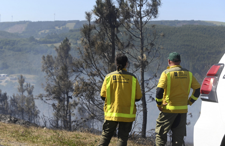 Extinguido el incendio forestal que arrasó 23 hectáreas de monte en el área de As Pontes