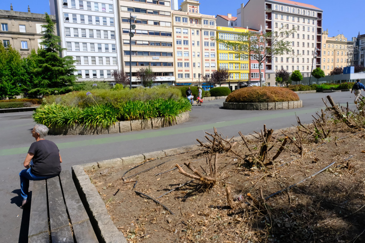 DSCF9688 14163417