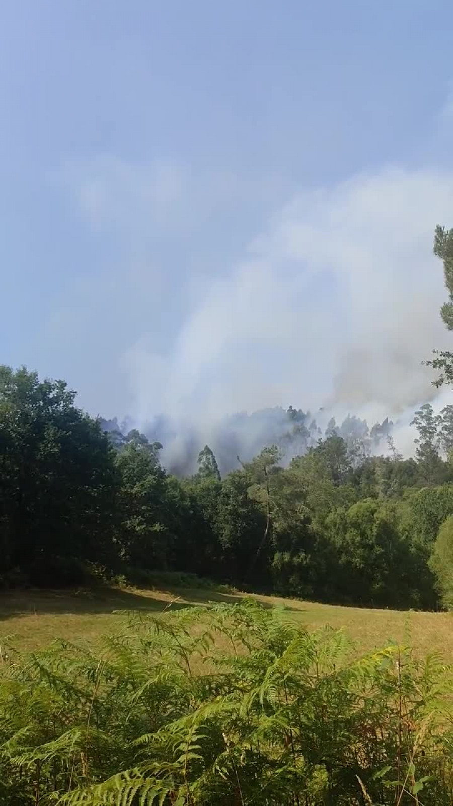 Reavivado el incendio que se había extinguido en el concello de Monfero