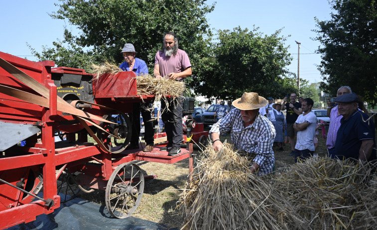 Traballo e encontro social, inseparables en tradicións como a Malla de Esmelle