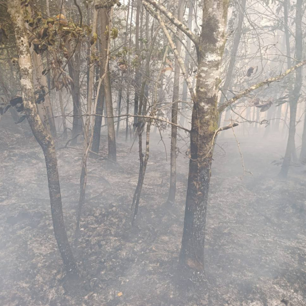 Efectivos de Medio Rural continúan trabajando en la extinción de los dos incendios de Monfero