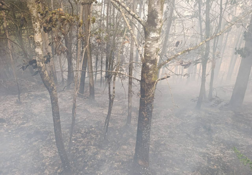 Efectivos de Medio Rural continúan trabajando en la extinción de los dos incendios de Monfero