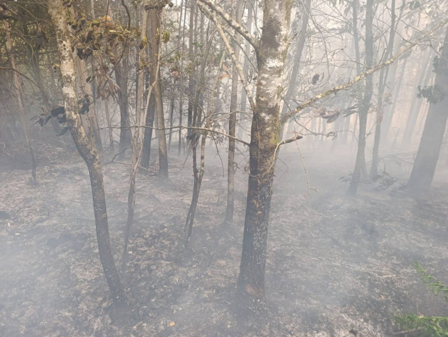 Efectivos de Medio Rural continúan trabajando en la extinción de los dos incendios de Monfero