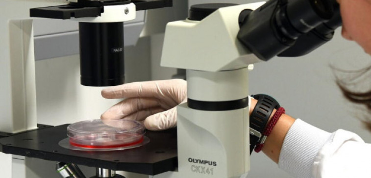 A USC capta máis da metade dos fondos para investigación competitiva do sistema universitario galego