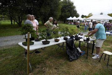 Feira Rural San Sadurniño Emilio Cortizas