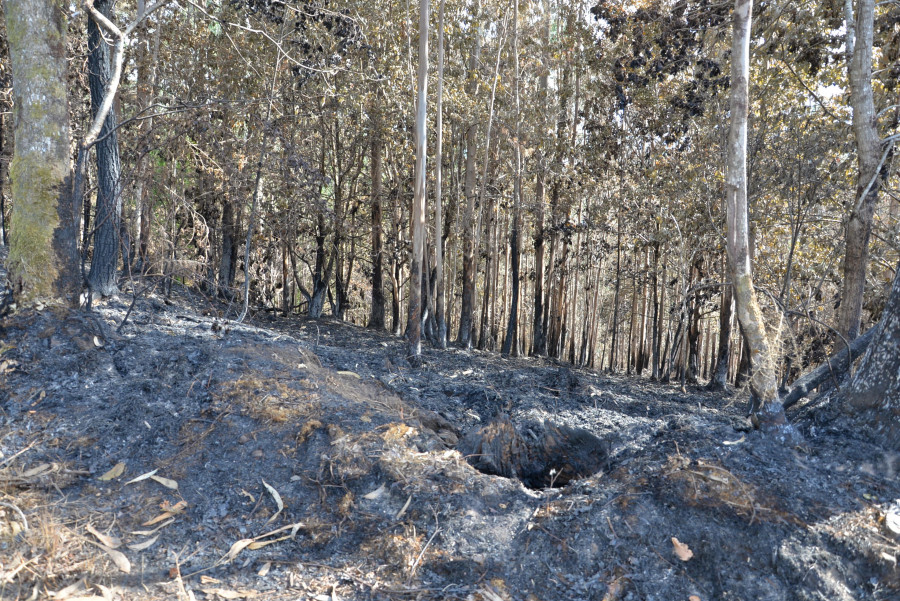 Extinguido el incendio forestal registrado en Monfero que afectó a las Fragas do Eume