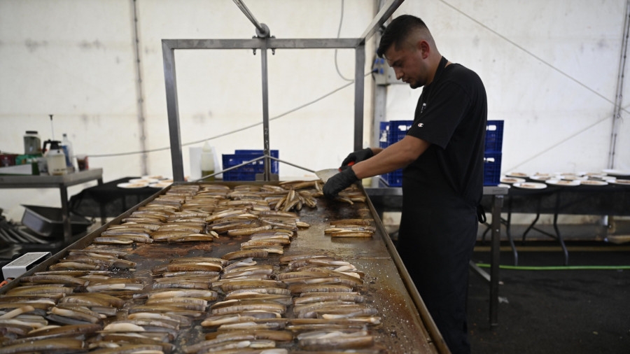 Barallobre se prepara para una nueva edición de su Festa do Marisco