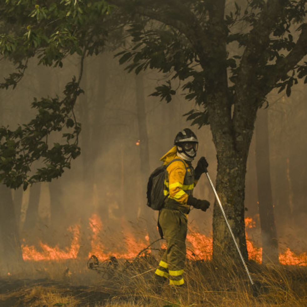 La Fiscalía investiga si los municipios más afectados por los incendios cuentan con planes de prevención