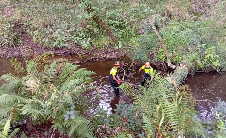 La Xunta lleva a cabo trabajos de conservación en el cauce del río Belelle a su paso por A Capela