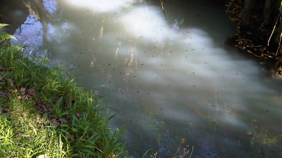 Augas de Galicia contribuye a eliminar un vertido de aguas residuales al regato de Atios, en Valdoviño