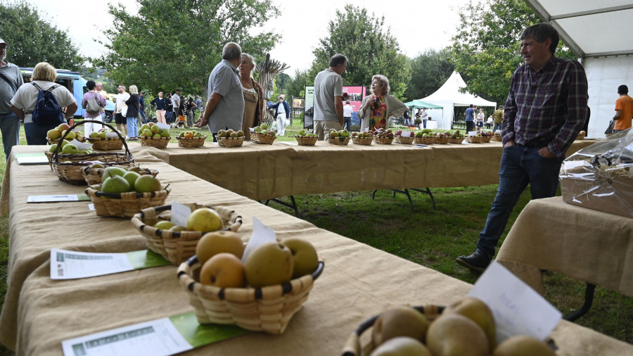 La Feira Rural de San Sadurniño contará este sábado con 73 puestos y un amplio programa