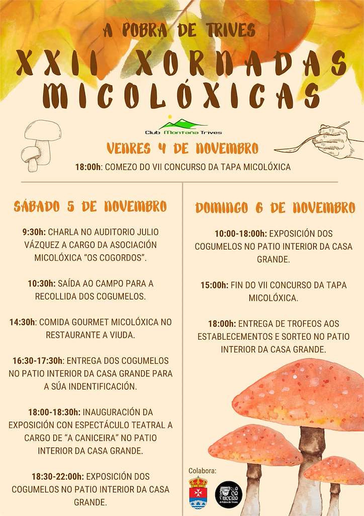 Xornadas micoloxicas concurso de tapas a pobra de trives img15272n1t0 4